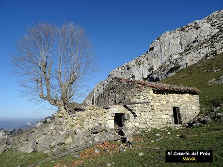 Arenas de Cabrales-Nava-El Jorcáu del Cuernu-Lles