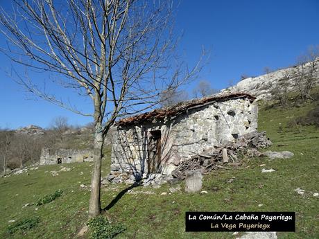 Arenas de Cabrales-Nava-El Jorcáu del Cuernu-Lles