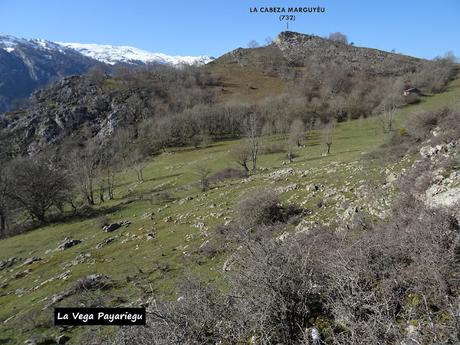 Arenas de Cabrales-Nava-El Jorcáu del Cuernu-Lles