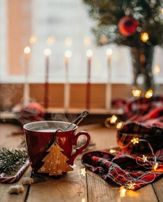 Placeres del invierno