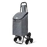VOUNOT Carro de la Compra con 6 Ruedas para Subir Escaleras, Carrito de la Compra Plegable, Bolsa Impermeable de 32 L, Gris