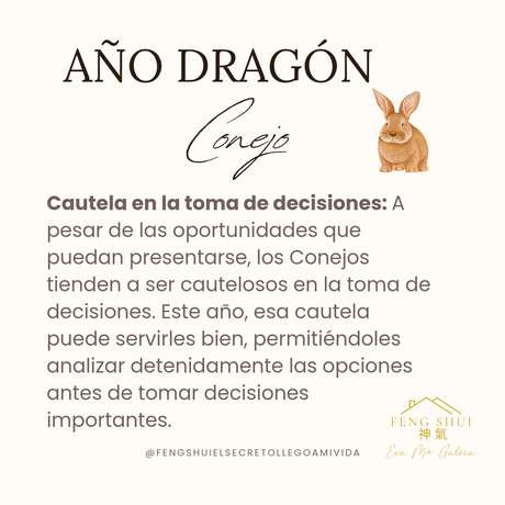 Año del Dragón 🐲 para el Conejo 🐇