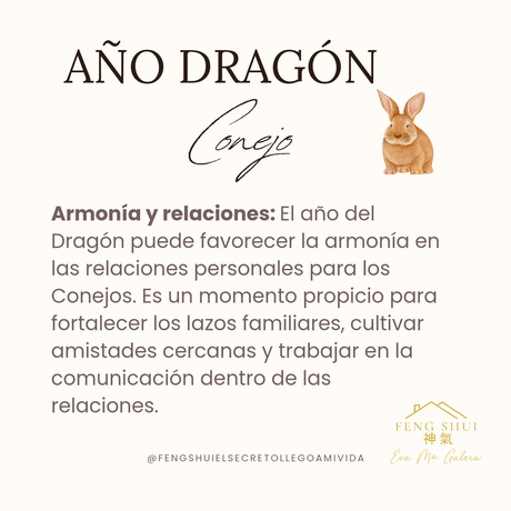 Año del Dragón 🐲 para el Conejo 🐇