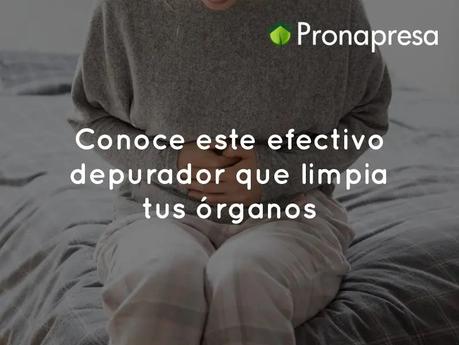 Conoce este efectivo depurador que limpia tus órganos