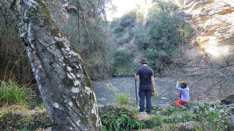 gorg negre de Gallifa