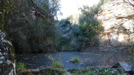 gorg negre de Gallifa