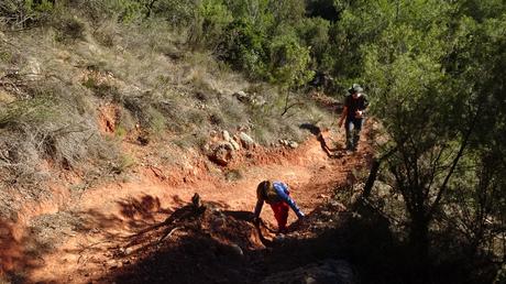 Camino de ascenso a Cabanyelles