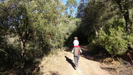 Camino de ascenso a Cabanyelles