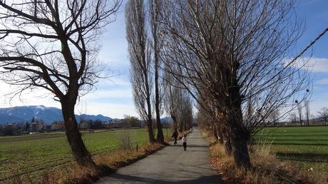 Sant Jaume de Rigolisa