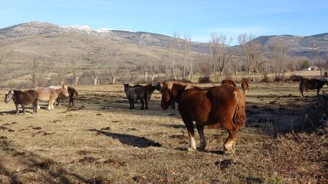 Camí dels Enamorats de Puigcerdà