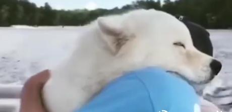 Vuelve aquí en tu próxima vida