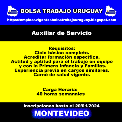 Auxiliar de Servicio