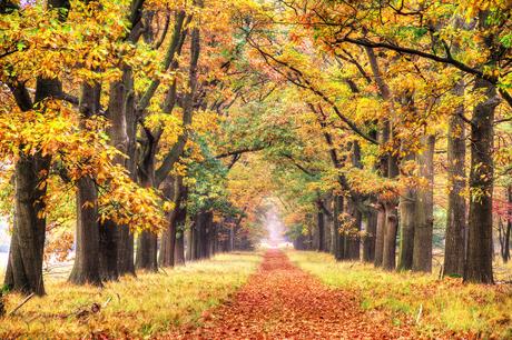 Parque Nacional De Hoge Veluwe