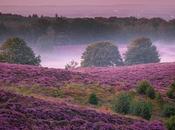 mejores parques nacionales Países Bajos vistazo