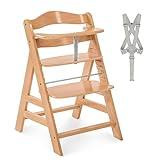 hauck Alpha Plus Trona Evolutiva, Madera de Haya Certificada FSC®, Sillas Tronas para Bebe desde 6 Meses hasta 90 kg, Silla Bebe con Arnés de 5 Puntos y Barra Protectora