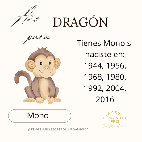 Año del Dragón 🐉 para el Mono 🙈
