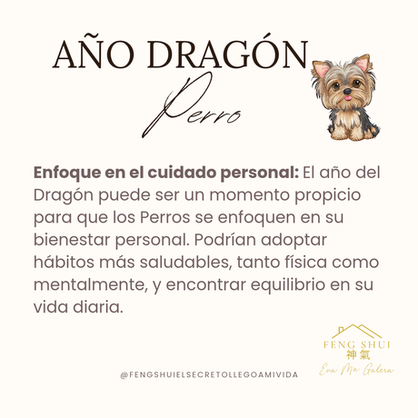 Año del Dragón 🐉 para el Perro 🐕