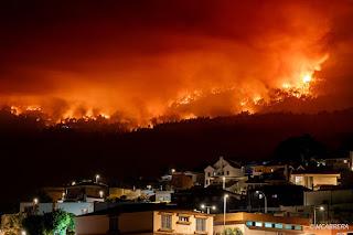 Del año más fresco y estable de sus vidas