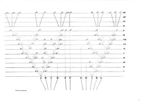 «El origen de las especies mediante selección natural», de Charles Darwin «El origen de las especies mediante selección natural», de Charles Darwin