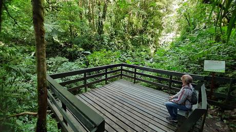 COSTA RICA: SENTIRSE COMO UN PÁJARO EN MONTEVERDE COSTA RICA: SENTIRSE COMO UN PÁJARO EN MONTEVERDE