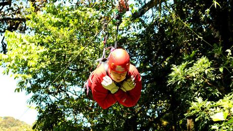 COSTA RICA: SENTIRSE COMO UN PÁJARO EN MONTEVERDE COSTA RICA: SENTIRSE COMO UN PÁJARO EN MONTEVERDE