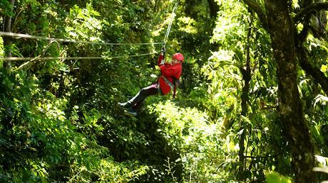 COSTA RICA: SENTIRSE COMO UN PÁJARO EN MONTEVERDE COSTA RICA: SENTIRSE COMO UN PÁJARO EN MONTEVERDE