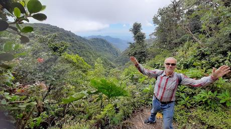 COSTA RICA: SENTIRSE COMO UN PÁJARO EN MONTEVERDE COSTA RICA: SENTIRSE COMO UN PÁJARO EN MONTEVERDE