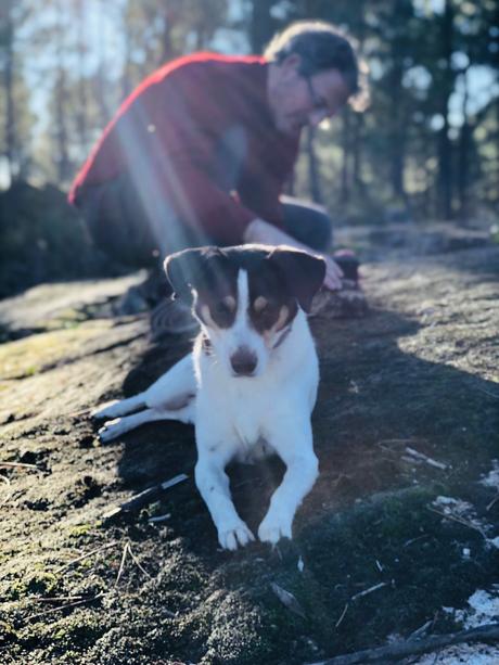 Recuerdos de un año acabado