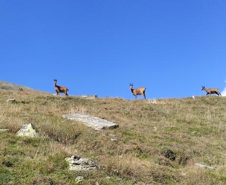 Recuerdos de un año acabado