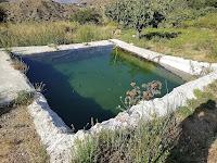 Muerte en Santa Rita de Elia Barceló.