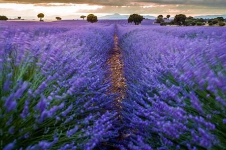 Colocan misiles y carteles contra la guerra en Palestina en el Belén de Cuenca