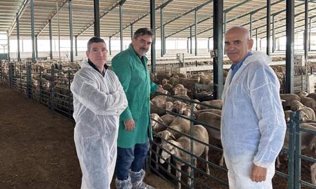 Colocan misiles y carteles contra la guerra en Palestina en el Belén de Cuenca