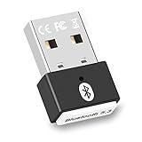 Bluetooth USB 5.3 - Adaptador Bluetooth PC (EDR & BLE) - Mini USB Bluetooth Transmisor & Receptor Plug & Play para Ordenador, Portatil, Ratón, Teclado, Altavoz, Compatible con Windows 11/10/8.1
