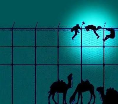 El “hombre que susurra a las bicicletas”… Ortega Smith, reprobado por su agresión a Rubiño, y Baltasares blancos pintados de negro en la cabalgata de los reyes.