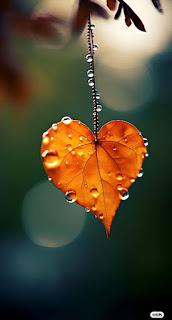 5.712 - ME GUSTARÍA... 5.712 - ME GUSTARÍA...