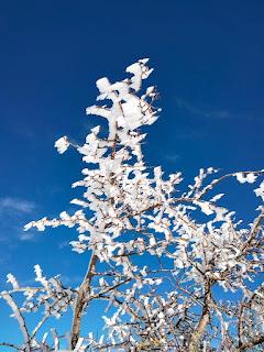 Exploraciones en la Sierra de Segura para empezar el año