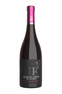 Santa Cruz de Alpera Pure 2021