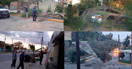 Alerta por Fuertes Vientos en San Luis Potosí y Medidas Preventivas del Gobierno Municipal