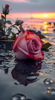 5.714 - ACABO DE LLEGAR... 5.714 - ACABO DE LLEGAR...