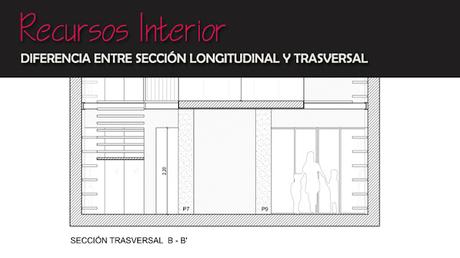 Diferencia entre sección longitudinal y sección trasversal de un plano Diferencia entre sección longitudinal y sección trasversal de un plano