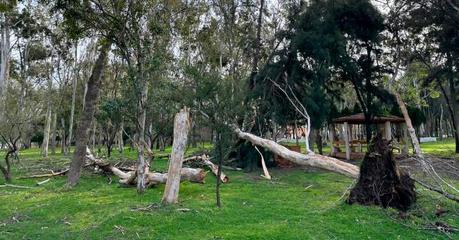 Cierre del Parque Tangamanga I y supervisión en Tangamanga II por fuertes vientos