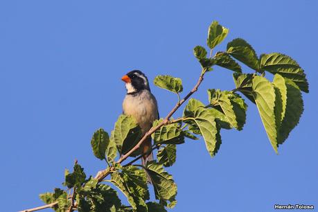 Gran viaje de primavera 2023 (1° parte)