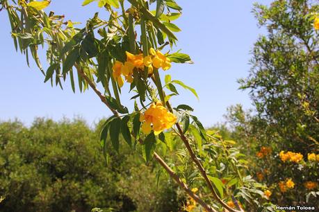 Gran viaje de primavera 2023 (1° parte)