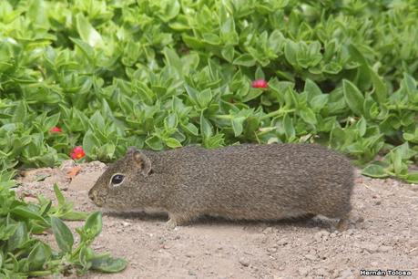 Gran viaje de primavera 2023 (1° parte)