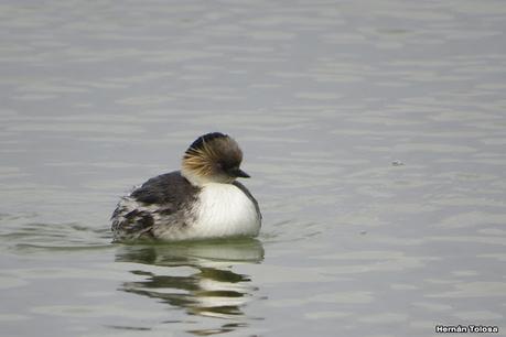 Gran viaje de primavera 2023 (1° parte)