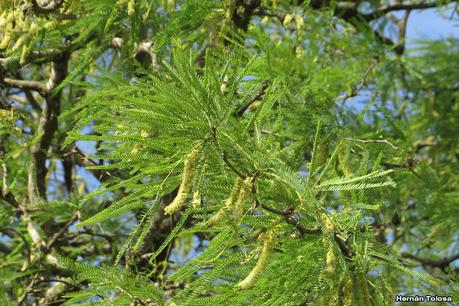 Gran viaje de primavera 2023 (1° parte)