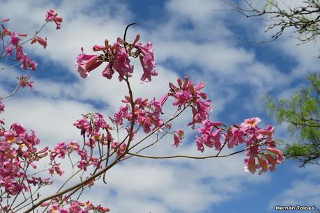 Gran viaje de primavera 2023 (1° parte)