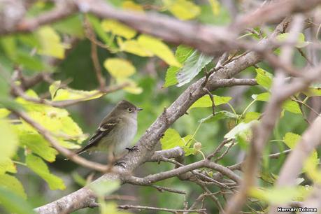 Gran viaje de primavera 2023 (1° parte)