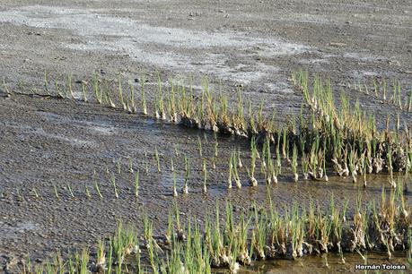 Gran viaje de primavera 2023 (1° parte)