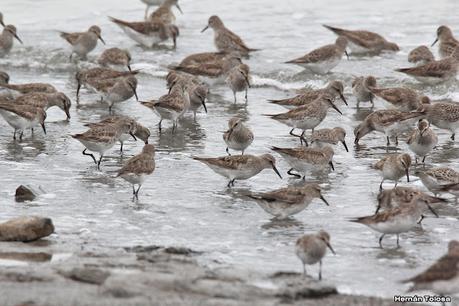 Gran viaje de primavera 2023 (1° parte)